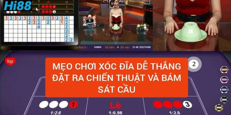 Xóc đĩa là gì? Cách chơi xóc đĩa chẵn lẻ luôn thắng 2 meo-choi-xoc-dia-de-thang-dat-ra-chien-thuat-va-bam-sat-cau
